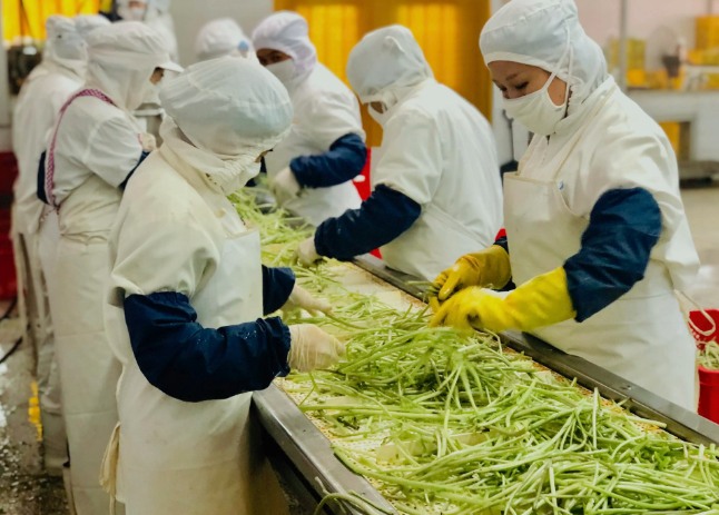 三種食品污水處理設備工藝流程，看看哪種適合您？