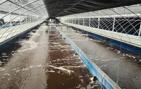 畜禽污水處理的方法、步驟（主流畜禽污水處理工藝有哪些）